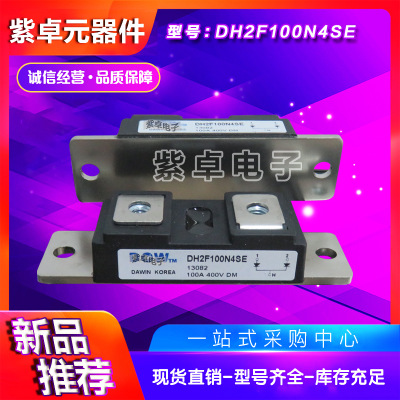 DH2F100N6S DH2F100N6SE原装大卫功率 模块正品 二极管模块