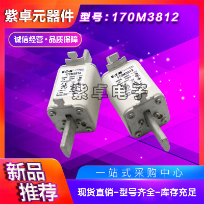 全新原装Bussmann熔断器170M3812 170M3813 170M3814 170M3815