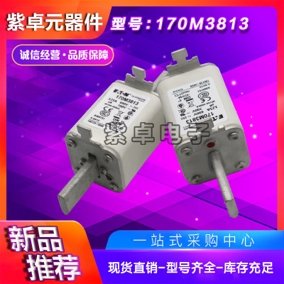 全新原装Bussmann熔断器170M3981 170M3982 170M3983 170M3984