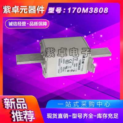 全新原装Bussmann熔断器170M3973 170M3974 170M3975