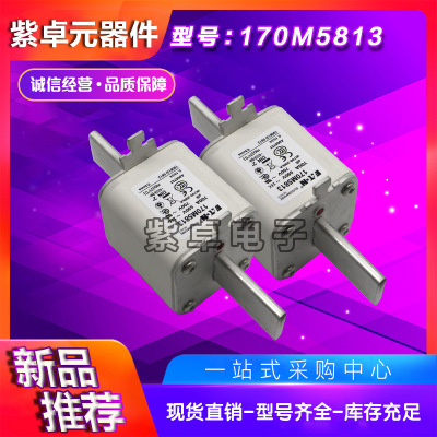 全新原装Bussmann熔断器170M5716 170M5717 170M5718