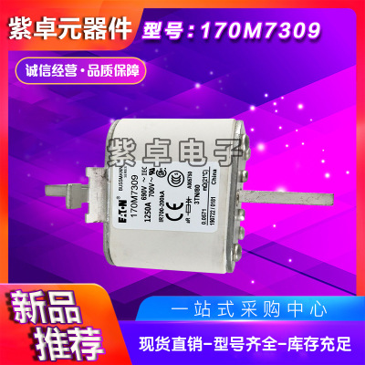 全新原装Bussmann熔断器170M7118 170M7119 170M7120 170M7121