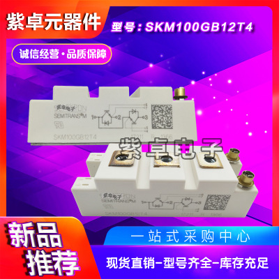 SKM100GAL12T4 SKM100GAL123D SKM100GAL124D全新原装IGBT模块