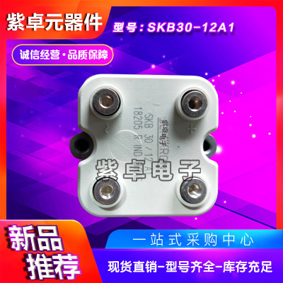 SKB30/12A1 SKB30/14A1 SKB30/16A1西门康整流桥功率模块原装现货