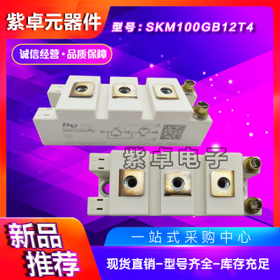 SKM100GAR12T4 SKM100GAR123D西门康全新原装IGBT功率模块