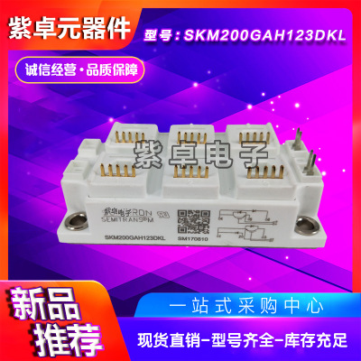 SKM200GAL123DKLD110 SKM200GAL126DKLD110西门康原装IGBT模块