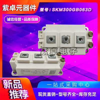SKM300GAR063D SKM300GB125D西门康全新原装IGBT功率模块