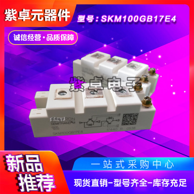SKM100GB17E4 SKM100GB173D SKM100GB176D全新原装IGBT功率模块
