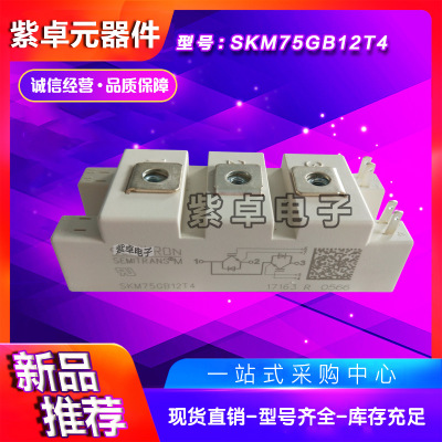 SKM75GB12T4 SKM75GB123D SKM75GB124D西门康全新原装IGBT模块